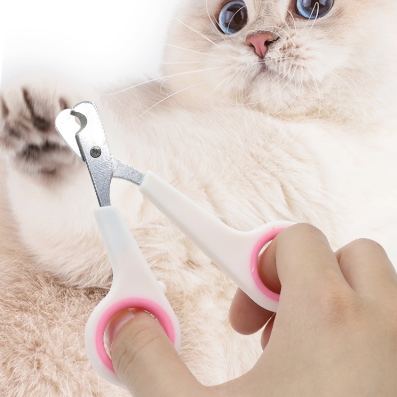 Pet Nail Dog Nail Clippers Sci - Home Barber 评论和价格