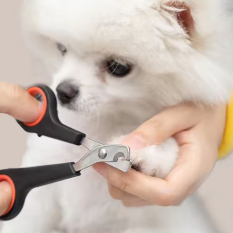 Pet Nail Dog Nail Clippers Sci - Home Barber 评论和价格